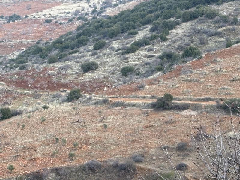 GAZİANTEP NİZİP'DE 53.004 M2 SATILIK FISTIK BAHÇESİ